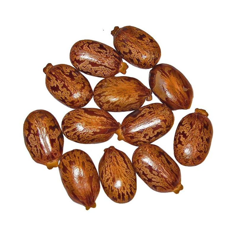 Castor Oil